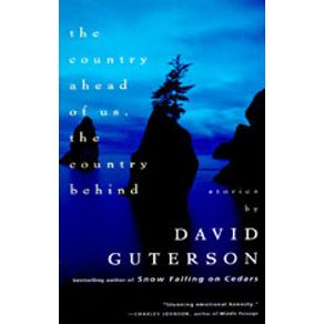 517102_detalhes.jpg 517102_detalhes.jpg