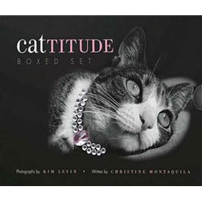 500241_ampliada.jpg 500241_ampliada.jpg