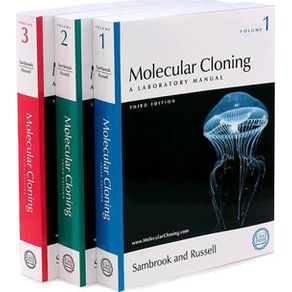 501552_ampliada.jpg 501552_ampliada.jpg