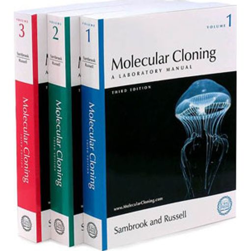 MOLECULAR CLONING - A LABORATORY MANUAL (3 VOLUMES) - SAMBROOK