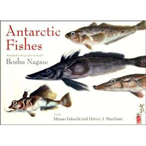 501572_ampliada.jpg 501572_ampliada.jpg