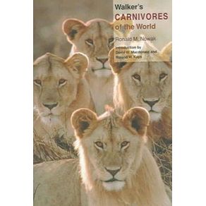 501580_ampliada.jpg 501580_ampliada.jpg