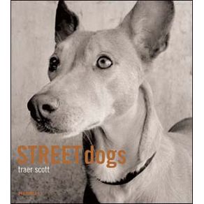 502083_ampliada.jpg 502083_ampliada.jpg