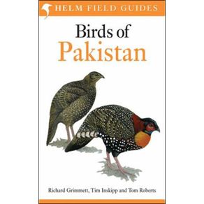 502106_ampliada.jpg 502106_ampliada.jpg