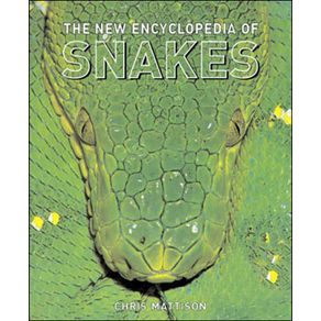 502206_ampliada.jpg 502206_ampliada.jpg