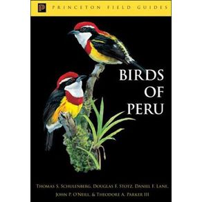 502207_ampliada.jpg 502207_ampliada.jpg