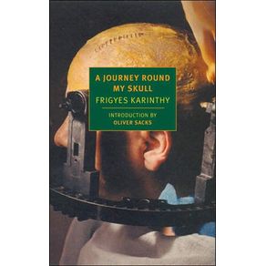 502498_ampliada.jpg 502498_ampliada.jpg