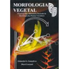 505560_vitrine.jpg 505560_vitrine.jpg