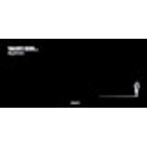 256973_vitrine.jpg 256973_vitrine.jpg