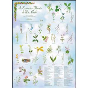 239938_detalhes.jpg 239938_detalhes.jpg