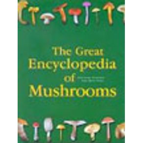 240584_vitrine.jpg 240584_vitrine.jpg