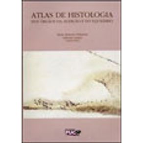 241206_vitrine.jpg 241206_vitrine.jpg