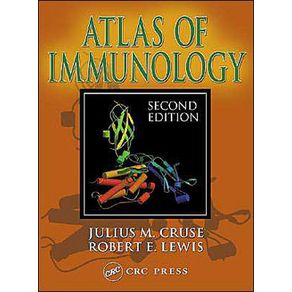 245685_ampliada.jpg 245685_ampliada.jpg