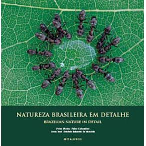 230064_ampliada.jpg 230064_ampliada.jpg