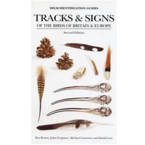 232315_ampliada.jpg 232315_ampliada.jpg