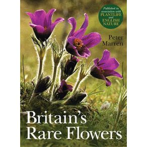 232217_ampliada.jpg 232217_ampliada.jpg