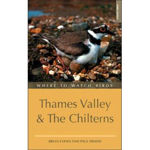 232328_ampliada.jpg 232328_ampliada.jpg