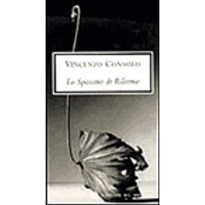 234111_vitrine.jpg 234111_vitrine.jpg