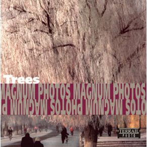 234771_ampliada.jpg 234771_ampliada.jpg