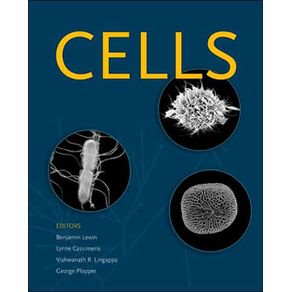 223513_ampliada.jpg 223513_ampliada.jpg