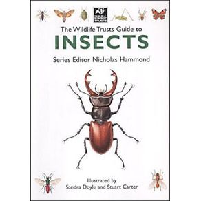 226973_ampliada.jpg 226973_ampliada.jpg