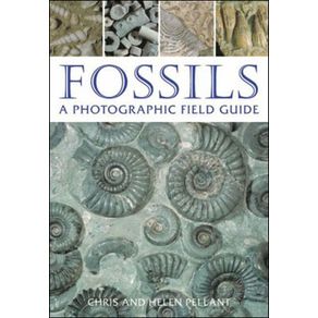 226956_ampliada.jpg 226956_ampliada.jpg