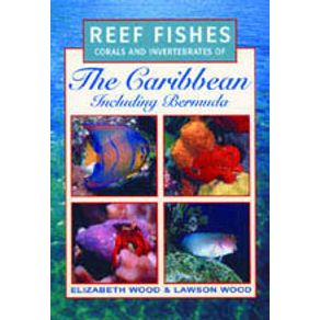 226955_detalhes.jpg 226955_detalhes.jpg