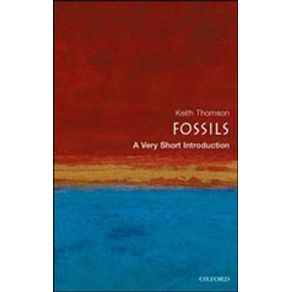 210817_detalhes.jpg 210817_detalhes.jpg