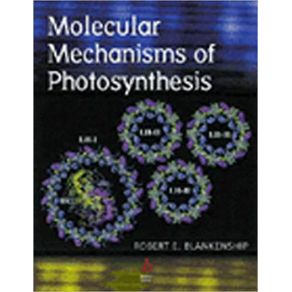 210870_ampliada.jpg 210870_ampliada.jpg