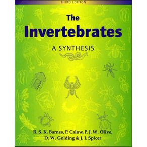 211015_ampliada.jpg 211015_ampliada.jpg