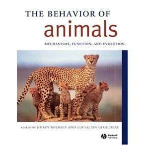 210884_ampliada.jpg 210884_ampliada.jpg