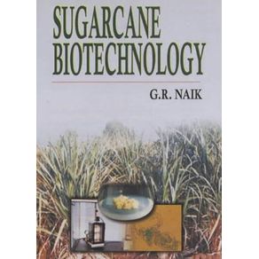 210917_ampliada.jpg 210917_ampliada.jpg