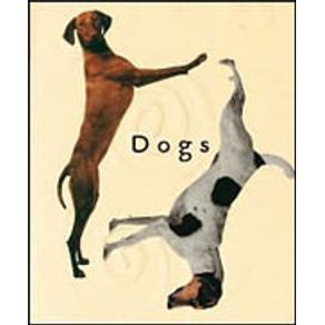 213128_detalhes.jpg 213128_detalhes.jpg