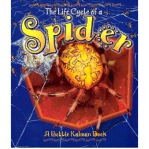 213423.jpg 213423.jpg