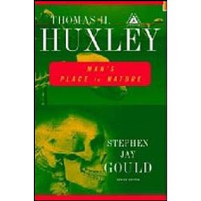 216235_detalhes.jpg 216235_detalhes.jpg