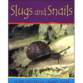 216331_ampliada.jpg 216331_ampliada.jpg