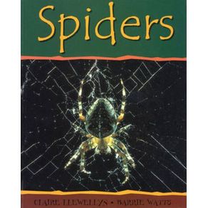 216333_ampliada.jpg 216333_ampliada.jpg