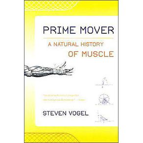 197987_ampliada.jpg 197987_ampliada.jpg