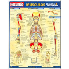 204415_ampliada.jpg 204415_ampliada.jpg