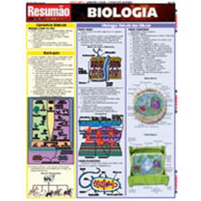 204406_detalhes.jpg 204406_detalhes.jpg