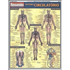 204417_detalhes.jpg 204417_detalhes.jpg