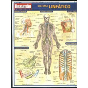 204419_detalhes.jpg 204419_detalhes.jpg