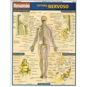 204421_detalhes.jpg 204421_detalhes.jpg