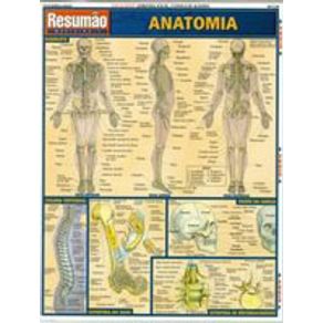 204407_detalhes.jpg 204407_detalhes.jpg