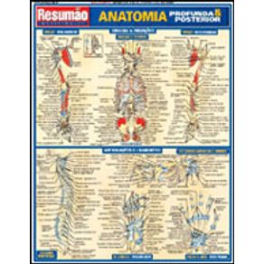 204413_detalhes.jpg 204413_detalhes.jpg