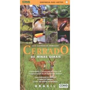 206537_detalhes.jpg 206537_detalhes.jpg