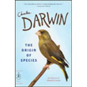 171517_vitrine.jpg 171517_vitrine.jpg