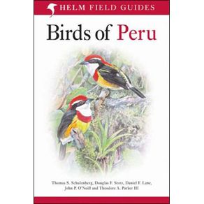 11945_ampliada.jpg 11945_ampliada.jpg