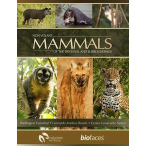 897628.jpg 897628.jpg