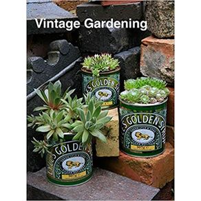 908997.jpg 908997.jpg